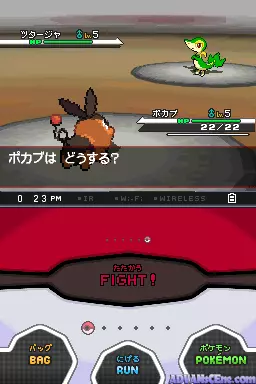 Image n° 3 - screenshots : Pokemon - Black (DSi Enhanced)